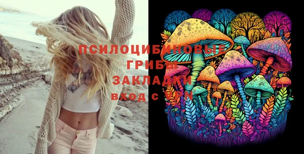 ALPHA-PVP Гусев