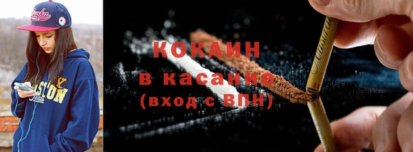 гидра Гусь-Хрустальный