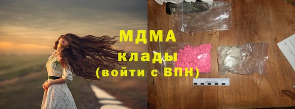 гидра Гусь-Хрустальный