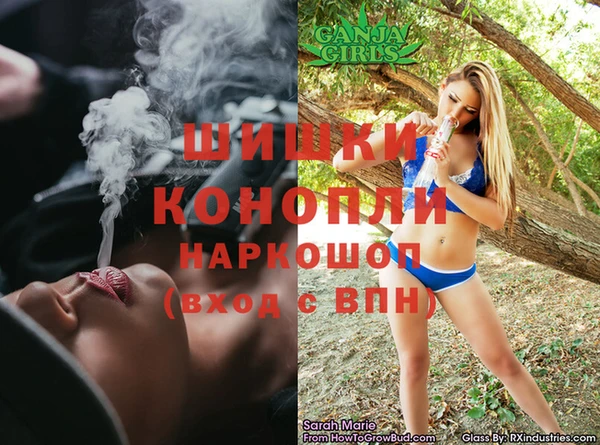 гидра Гусь-Хрустальный