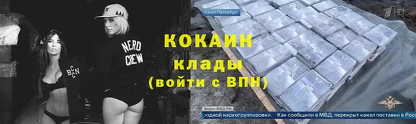 ALPHA-PVP Гусев