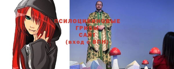 ALPHA-PVP Гусев