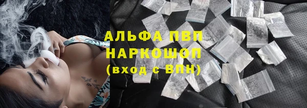 гидра Гусь-Хрустальный