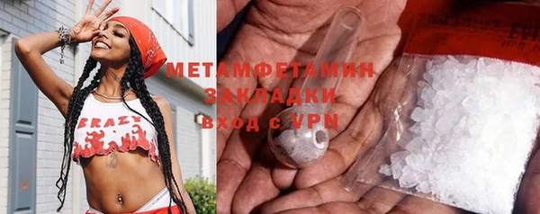 гидра Гусь-Хрустальный